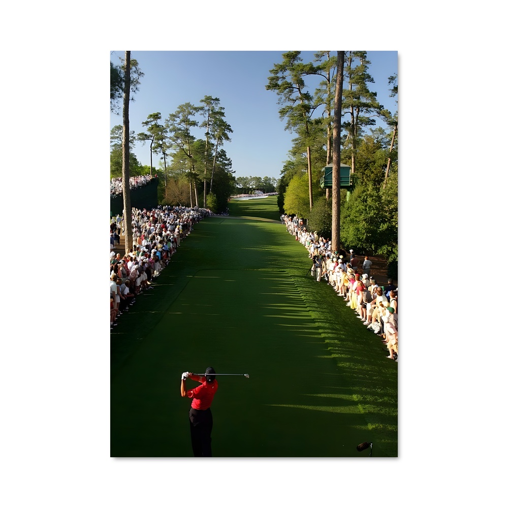 Poster Swinging to Victory